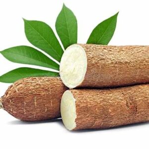 Cassavas Tapioca