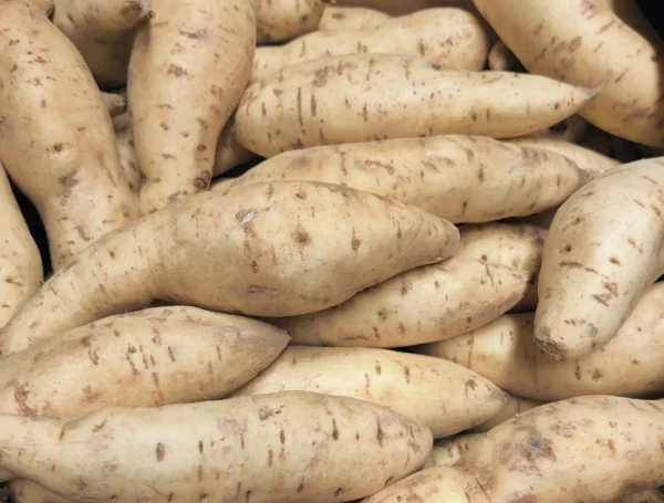 Sweet Potato
