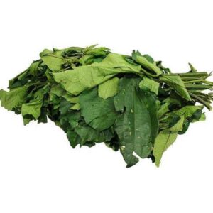 Ugu- Fresh Leaf
