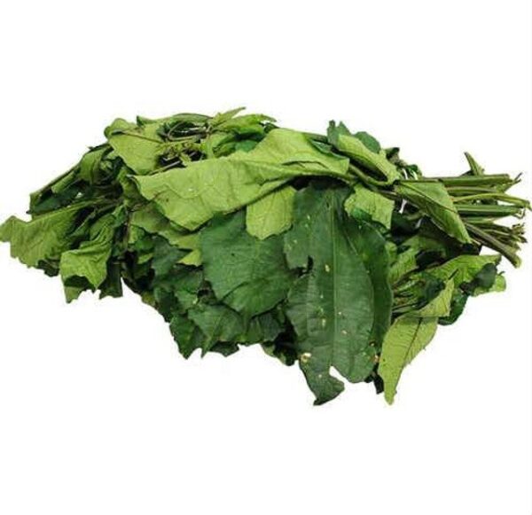 Ugu- Fresh Leaf
