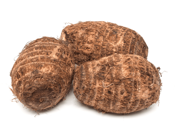 Coco Yam