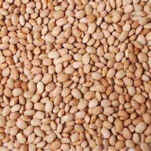 Honey Beans