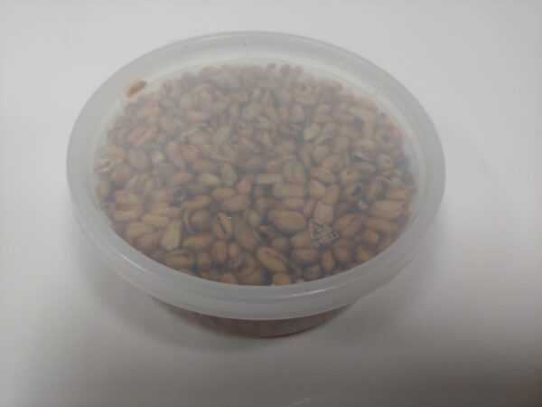 Roasted Ukwa