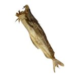Stockfish Cod