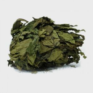 Bitter Leaves