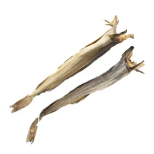 Stockfish Tusk