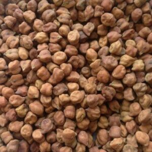 Chickpea Brown
