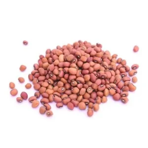 Vanpayar